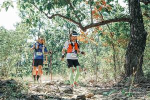 BIB: 
                            <button type="button" onclick="openModal(26094128)" class="btn btn-primary btn-sm float-right btn-popup" data-toggle="modal" data-target=".modal-high-quality">
                        <i class="fas fa-shopping-cart"></i> Add to Cart
                    </button>
                                            <button type="button" onclick="isThisMe(26094128, true)" class="btn btn-success btn-sm float-right btn-popup btn-isme hidden" data-toggle="tooltip" data-placement="bottom" title="นี่คือรูปของคุณใช่ไหม คลิกที่นี่เพื่อเอาเข้าอัลบั้ม">
                        <i class="fas fa-plus"></i> Add to album
                    </button>
                    <button type="button" onclick="isThisMe(26094128, false)" class="btn btn-warning btn-sm float-right btn-popup btn-isnotme hidden">
                        <i class="fas fa-ban"></i> Remove from album
                    </button>